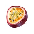 Passion fruit watercolor illustration isolated on white background. Royalty Free Stock Photo