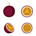 Passion fruit, whole fruit and halves, on white background, vector illustration Royalty Free Stock Photo