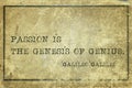 Passion genesis Galilei