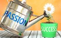 Passion helps achieving success - pictured as word Passion on a watering can to symbolize that Passion makes success grow and it