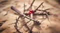 Passion Of Jesus Christ - Hammer And Bloody Nails And Crown Of Thorns On Arid Ground With Defocused Background. Royalty Free Stock Photo