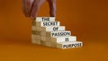 Passion and purpose symbol. Wooden blocks with concept words The secret of passion is purpose. Beautiful orange background, copy