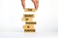 Passion and purpose symbol. Wooden blocks with concept words The secret of passion is purpose. Beautiful white background, copy