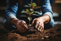 Passionate young gardener planting a tree, tending to the garden, and diligently watering plants