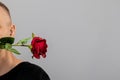 Passionate young man holding red rose in mouth over gray background Royalty Free Stock Photo