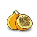 Passionfruit flat icon. Tropical fruit. Vector illustration, Royalty Free Stock Photo