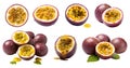 Passionfruit Passion fruit, many angles and view side top front sliced halved group cut isolated on transparent cutout, PNG