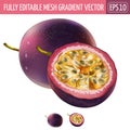 Passionfruit on white background. Vector illustration Royalty Free Stock Photo