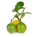 Passionfruits isolated on white Royalty Free Stock Photo