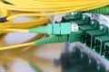Passive Optical Network, Patch Passive Optical Network, Patch cord with Selective Focus