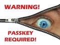 passkey code access security computers online internet danger fraud warning passwords