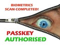 passkey code access security computers online internet danger fraud warning passwords