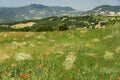 Passo del Penice: mountain landscape