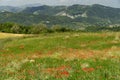 Passo del Penice: mountain landscape