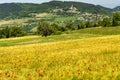 Passo del Penice: mountain landscape