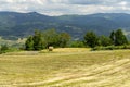 Passo del Penice: mountain landscape