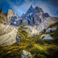 Passo rolle alps detail