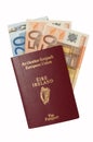 Passport with Euro cash