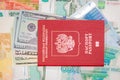 Passport with money dollar euro RUR Royalty Free Stock Photo