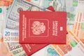 Passport with money dollar euro RUR Royalty Free Stock Photo