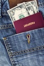 Passport and money in pocket Royalty Free Stock Photo