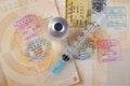 Passport pages and travel medication syringe and vial