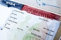 Passport with USA visa Royalty Free Stock Photo