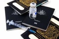 Passports and travel medication Royalty Free Stock Photo