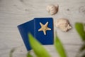 Passports for traveling abroad, starfish and seashells with copy space. Blurred leaves in the foreground on the background of