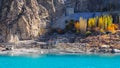 passu gracier Royalty Free Stock Photo