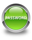 Password glossy green round button Royalty Free Stock Photo