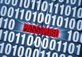 Password Hidden in Computer Code