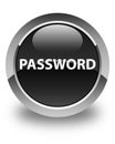 Password glossy black round button Royalty Free Stock Photo