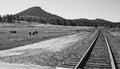 Railroad tracks run though the wide open spaces and mesas of the great West