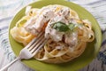 Pasta Alfredo with chicken closeup on a plate. horizontal Royalty Free Stock Photo