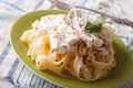 Pasta Alfredo with chicken and cream sauce close-up. horizontal Royalty Free Stock Photo