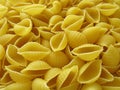 Pasta background. Pasta in form of shells.