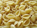 Pasta background. Pasta in form of shells.