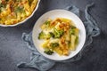 Pasta bake with broccoli and chicken Royalty Free Stock Photo