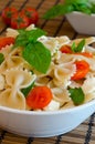 Pasta with basil, tomatoes and italian cheese called mozzarella Royalty Free Stock Photo