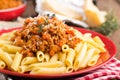 Pasta bolognese. Spaghetti served with a sauce of ground beef meat, tomato, onion, carrot and thyme Royalty Free Stock Photo