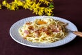 Pasta Carbonara. Flowers in the background. Italian food Royalty Free Stock Photo