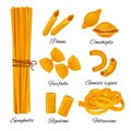 Pasta cartoon set isolated on white background. Different types of italian noodles with names, spaghetti, penne