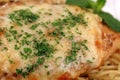 Pasta and chicken breast meal close up Royalty Free Stock Photo