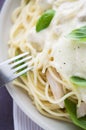 Pasta with chicken, creamy sauce and basil