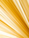 Pasta closeup background. Royalty Free Stock Photo