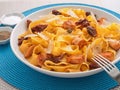 Pasta collection - Fettuccine with dried tomatoes Royalty Free Stock Photo