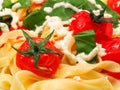 Pasta Collection - Fettucini with tomatoes, basil and mozarella Royalty Free Stock Photo