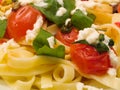 Pasta Collection - Fettucini with tomatoes, basil and mozarella Royalty Free Stock Photo