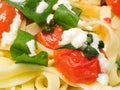 Pasta Collection - Fettucini with tomatoes, basil and mozarella Royalty Free Stock Photo
